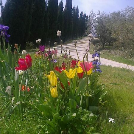 Residence Ai Campi Da Golf Saturnia Exterior foto