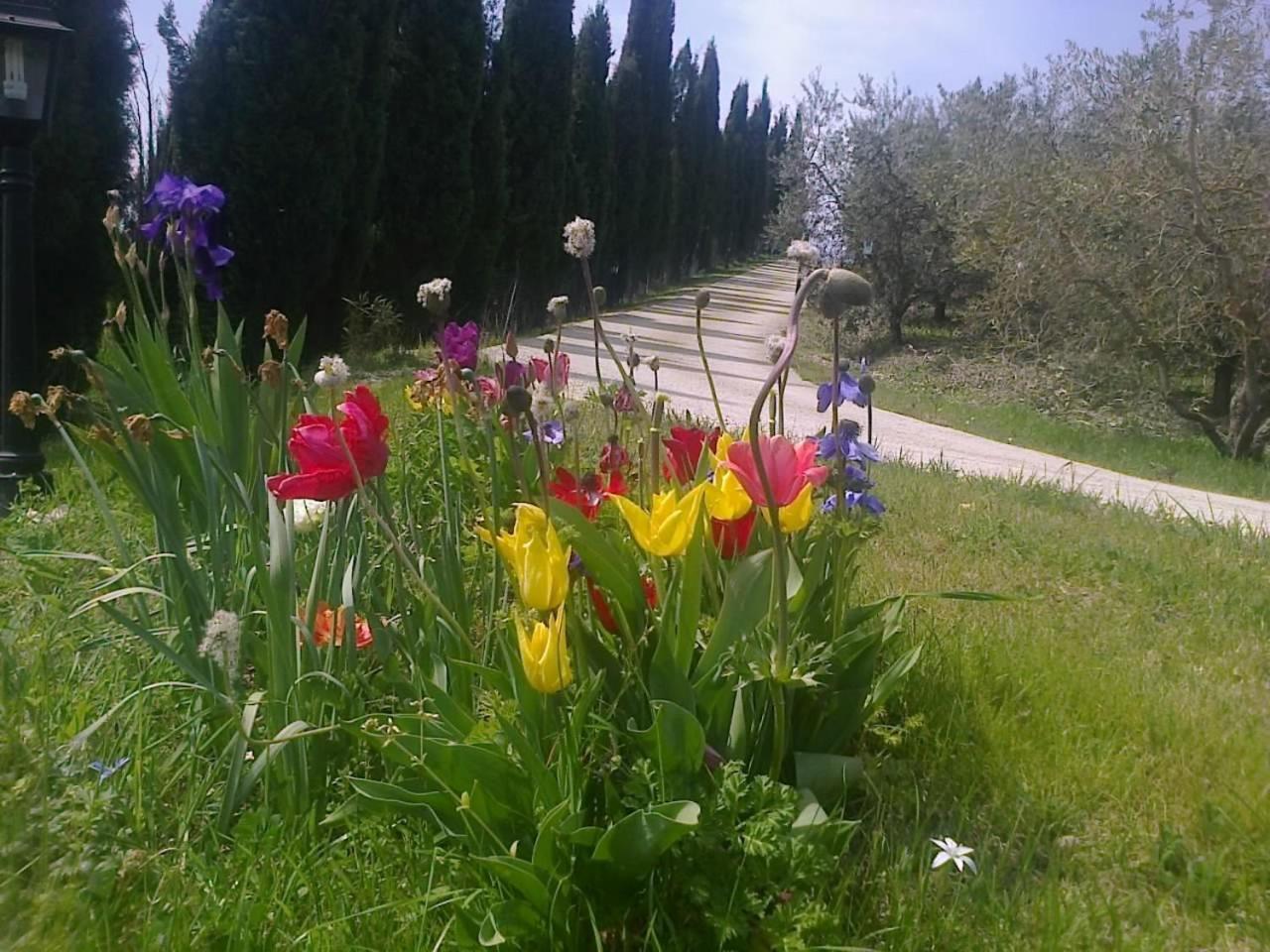 Residence Ai Campi Da Golf Saturnia Exterior foto