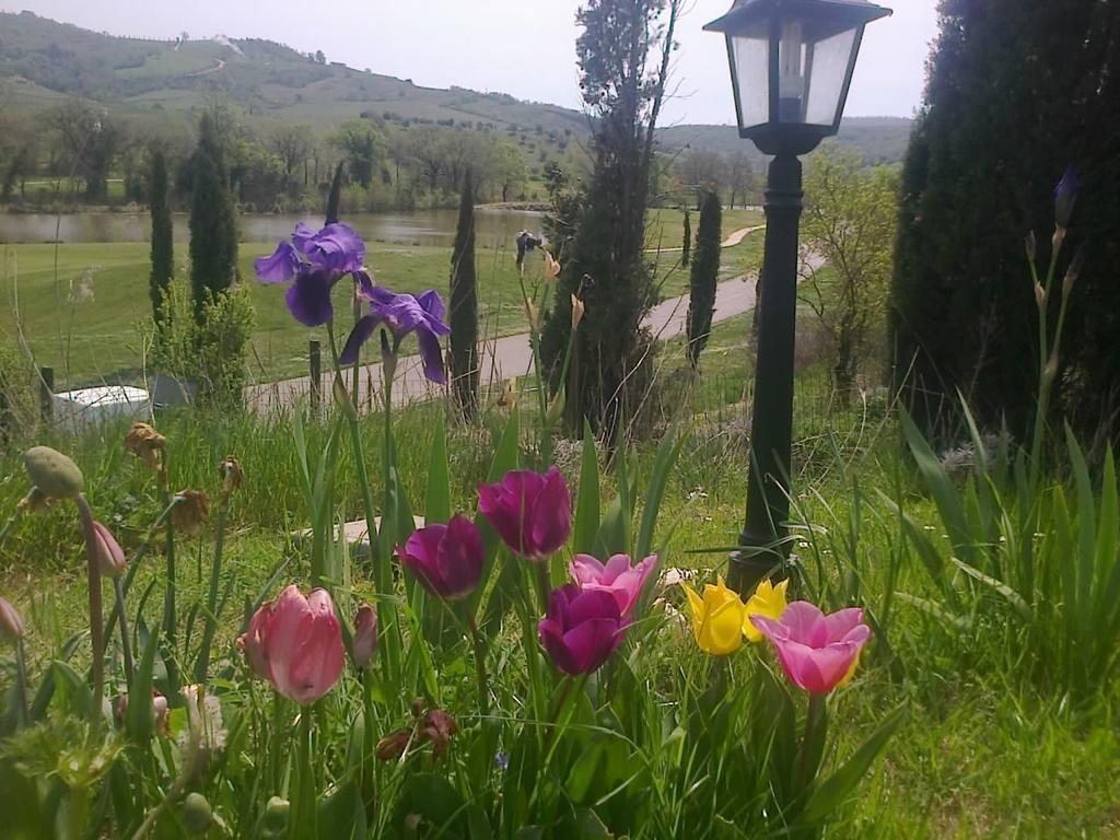 Residence Ai Campi Da Golf Saturnia Exterior foto