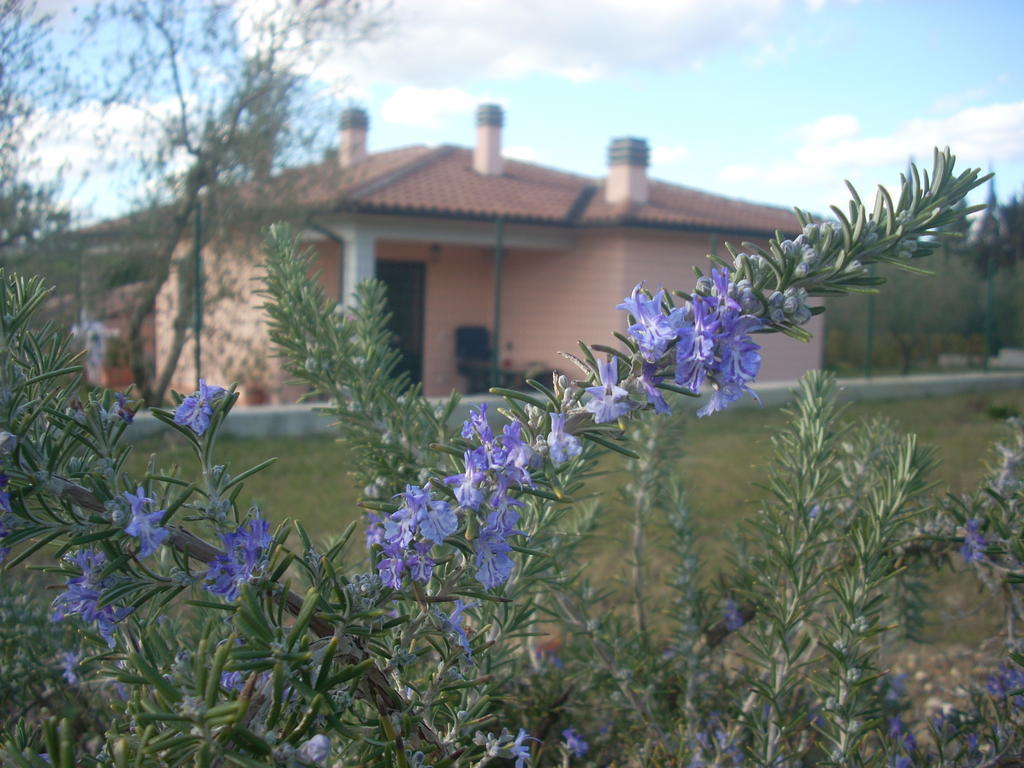 Residence Ai Campi Da Golf Saturnia Cameră foto
