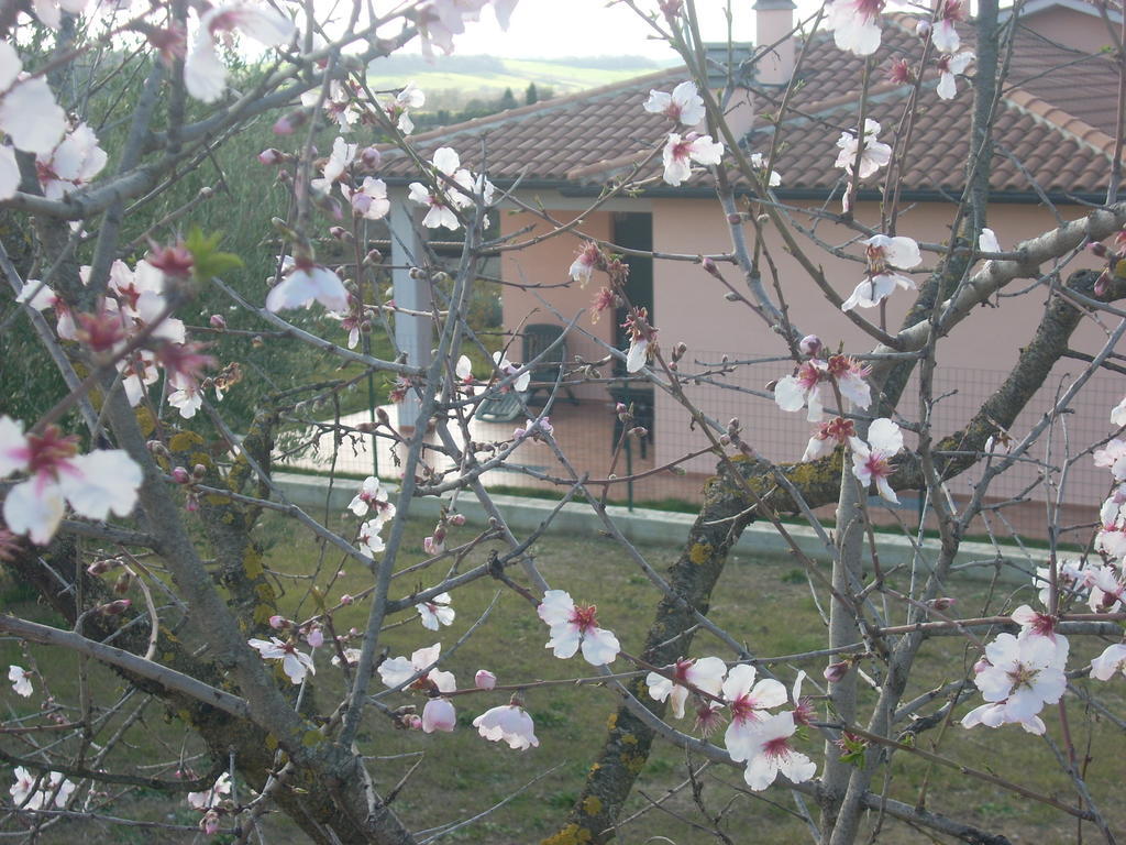 Residence Ai Campi Da Golf Saturnia Exterior foto