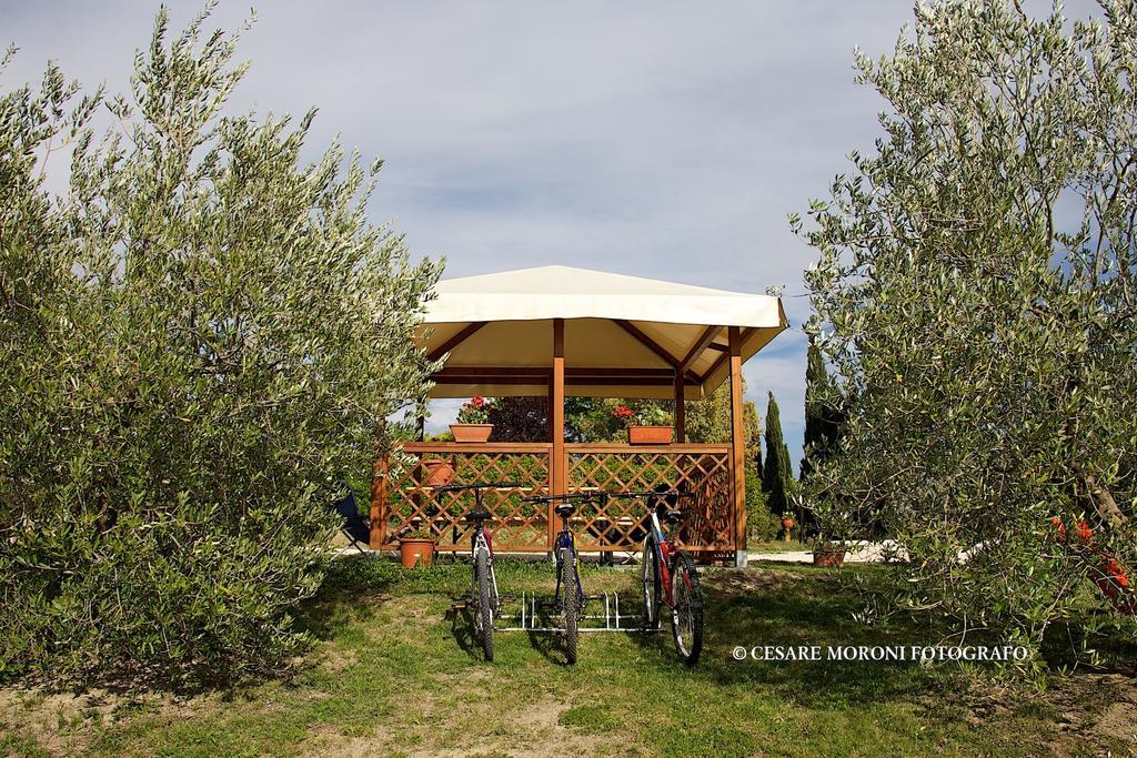 Residence Ai Campi Da Golf Saturnia Cameră foto