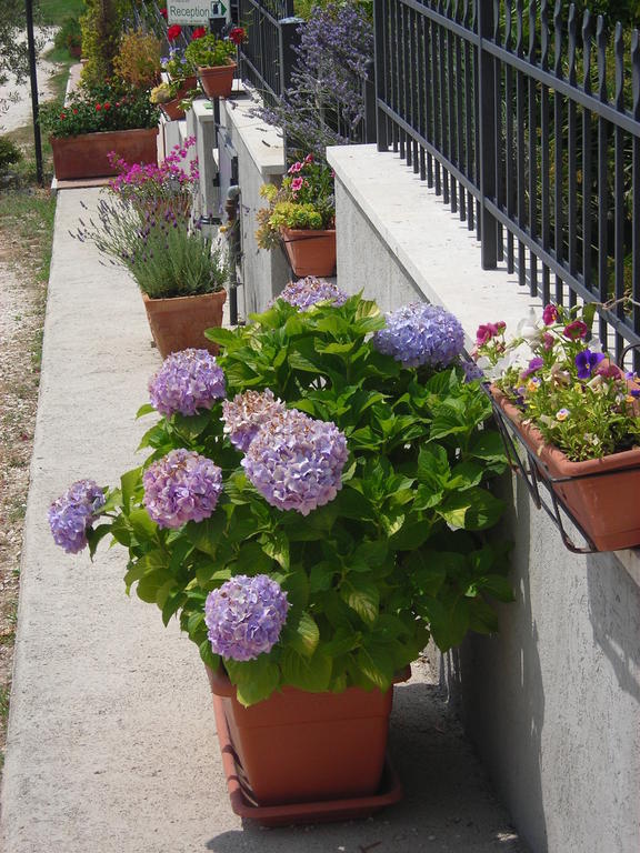 Residence Ai Campi Da Golf Saturnia Cameră foto